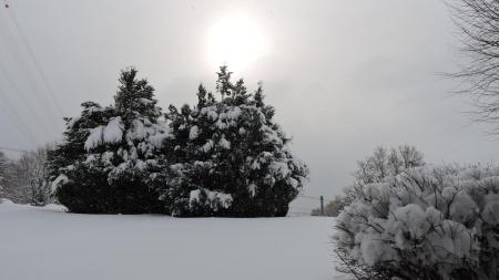 A vendre 1807 Blonay Maison 7 pi&egrave;ce(s)
